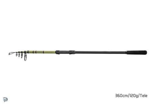 Delphin PARTISAN | 270cm/80g/Tele