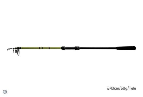 Delphin PARTISAN | 300cm/100g/Tele