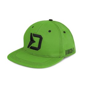 Delphin Sapka RAWER SnapBack