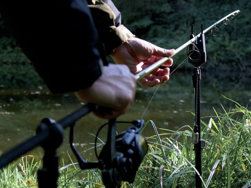 Delphin AMOX 6T DP elsőfékes orsó