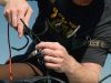 Delphin HELP rig horgony szerelékek kiszabadításához