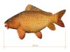 Delphin CARPY Plüss Ponty