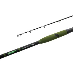 Delphin ENERGY Catfish