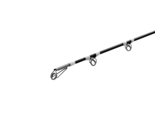 Delphin ENERGY Catfish