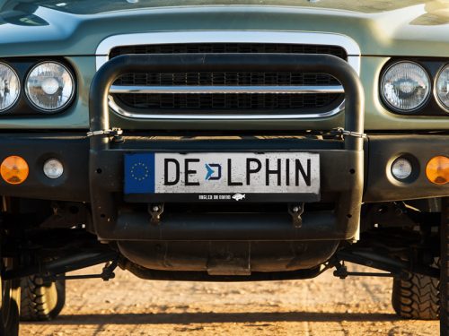 Delphin ANGLER ON BOARD / 2 db 3D rendszámtábla tartó