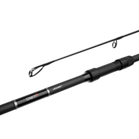 Delphin CASTIX
