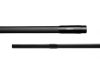 Delphin CASTIX