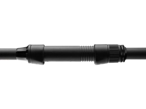 Delphin CASTIX