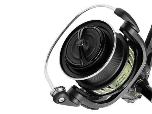 Delphin WORMIS 6T SH
